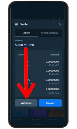 Withdraw funds button No Verification Casino
